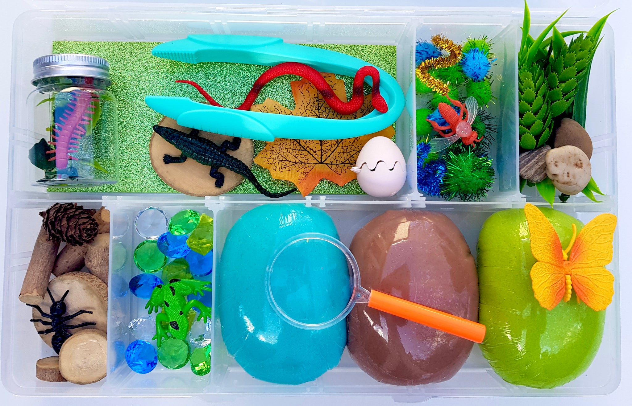 Bugs & Reptiles Kit - 30% OFF!